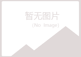 湛江夏日化学有限公司